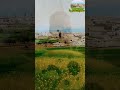 مدايا الأم 🌹الغربة ضيعت شايب وابن عم 🌺🌹❤️