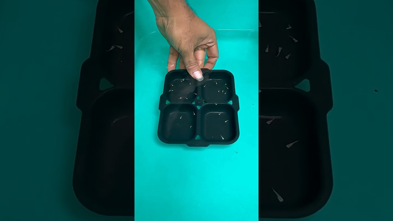 Latest Title & Thumbnail