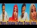 ЁЯЫСNasraa Fii Intaltii Jaabir Miciyoo Bira Fidee Nasraa Biraa Malif Waltuman 10 2025 ЁЯЫСNasraa Fii Intaltii Jaabir Miciyoo Bira Fidee Nasraa Biraa Malif Waltuman 10 2025