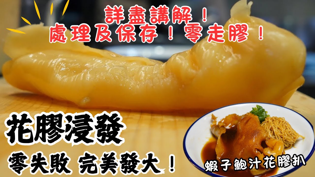 【花膠詳盡教學】新手零失敗 完美浸發？ 保存及處理！零走膠！蝦子鮑魚扣花膠扒 家中米芝蓮 （簡易做法）
