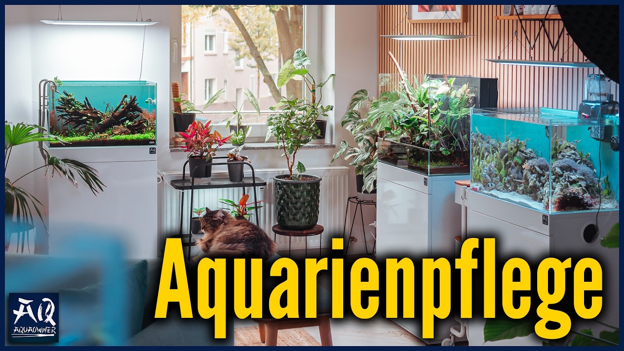 Das mache ich jede Woche! | AquaOwner