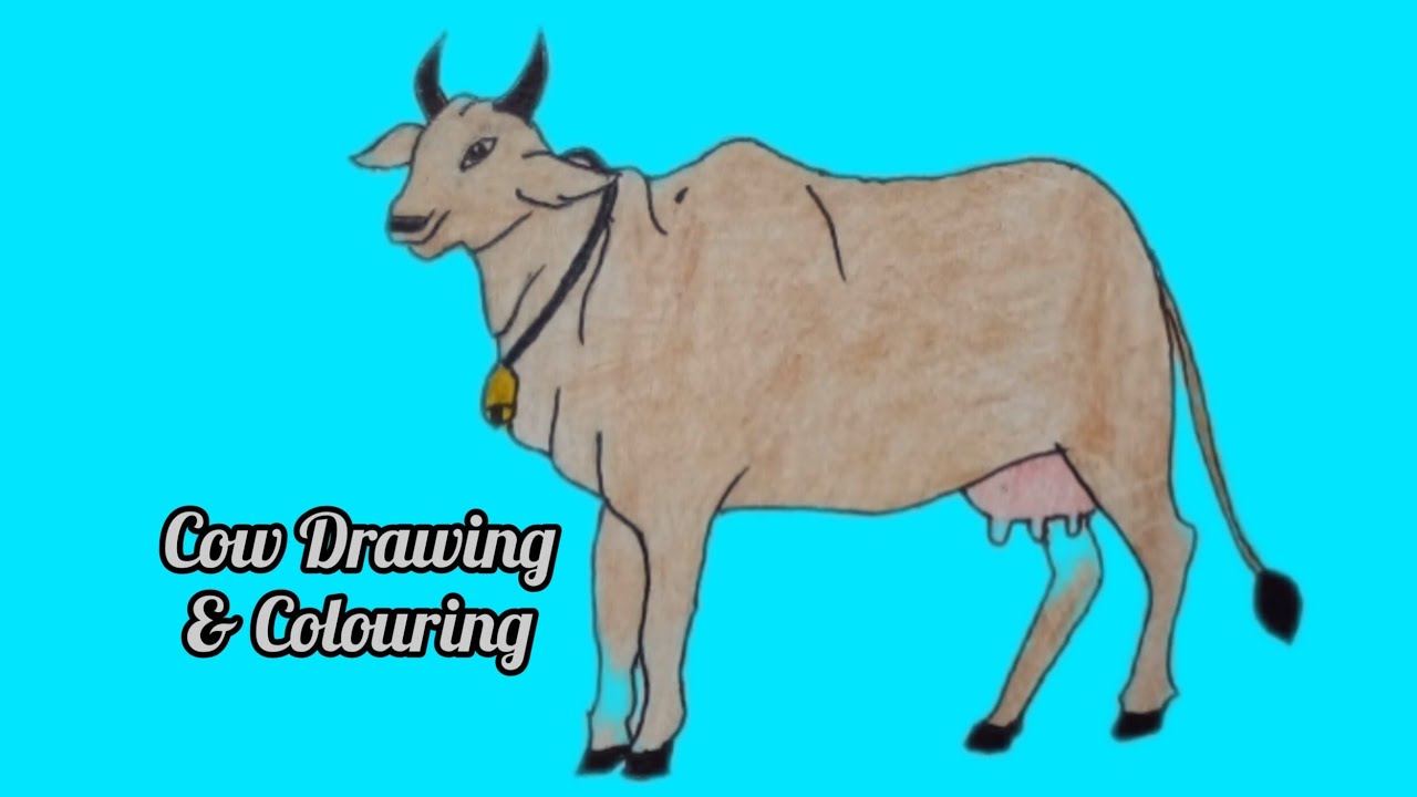 How to draw cow/cow drawing easy simple/cow drawing/drawing of cow/cow