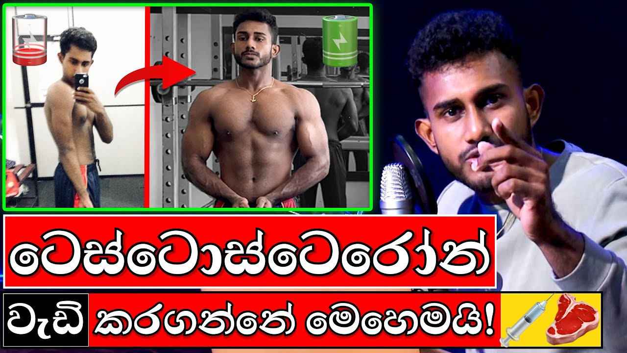 ටෙස්ටොස්ටෙරෝන් වැඩි කරන්නේ මෙහෙමයි | Increase Testesterone Naturally