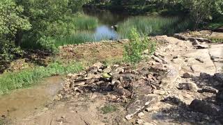 Actuaciones de permeabilización de obstáculos en la cuenca del Duero.