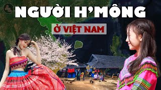 NGUỒN GỐC NGƯỜI MÔNG Ở VIỆT NAM - HỌ ĐÃ TỪ ĐÂU TỚI DẢI ĐẤT NÀY | Nguồn gốc 54 dân tộc Việt Nam