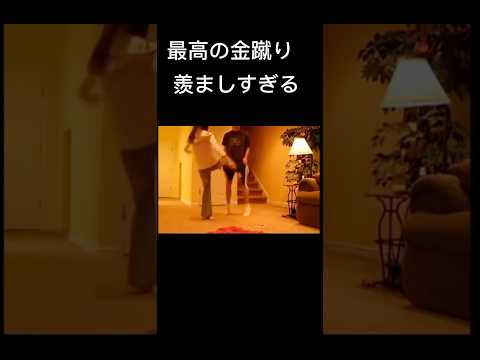 妹に不意打ちで金的される兄ww羨ましすぎる ストレス ストレス解消 急所 金的 金蹴り 女子 女性