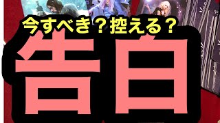 『今、告白する?それとも、控える?』ガチンコ【タロット占い】一部厳しめ⁉😳衝撃❢コラボ❣カード差し替え忖度上げ鑑定なし😳289回 『今、告白する?それとも、控える?』ガチンコ【タロット占い】一部厳しめ⁉😳衝撃❢コラボ❣カード差し替え忖度上げ鑑定なし😳289回
