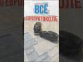 Европротокол 2025: как оформить ДТП без вызова ГАИ #адвокат #страхование #дтп
