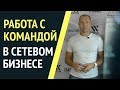 Как работать с командой в сетевом маркетинге. Чему учить новичка в МЛМ