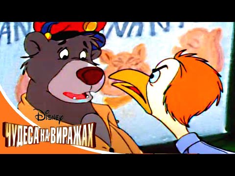 Видео: Чудеса на виражах - Серия 60 - Ваш почтальон Балу | смешной Сериал Disney