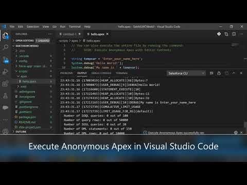 Visual Studio Code Tips - Execute Anonymous Apex in Visual Studio Code