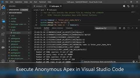 Visual Studio Code Tips - Execute Anonymous Apex in Visual Studio Code