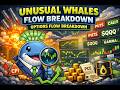 Unusual Whales Flow Breakdown: Reading Real-Time Options Flow, Gamma &amp; Market Risk