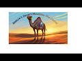 How Desert Ships Survive Weeks Without Water 🐪