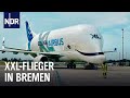 XXL-Fracht für die Beluga in Bremen I Abenteuer Flughafen (2/2) | Die Nordreportage | NDR Doku
