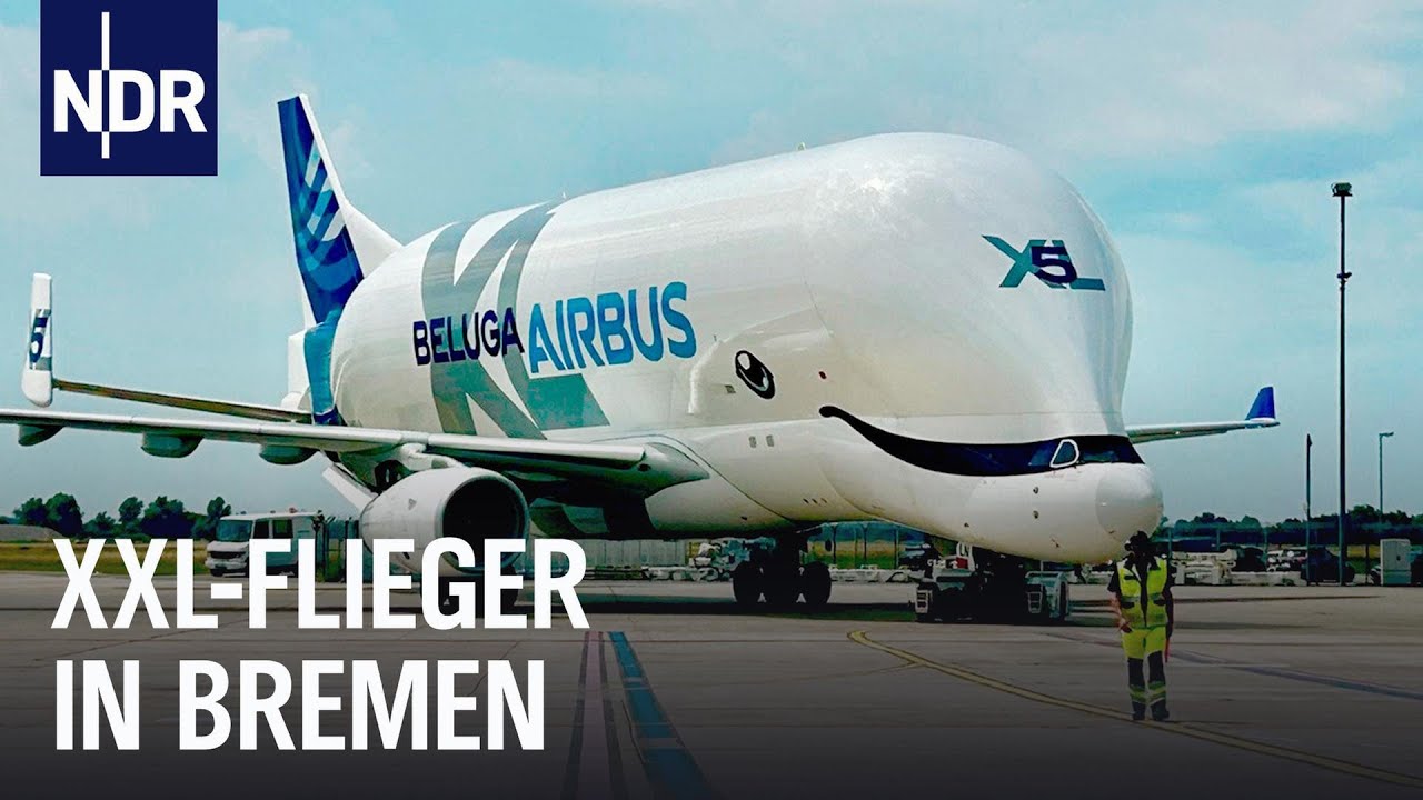 XXL-Fracht für die Beluga in Bremen I Abenteuer Flughafen (2/2) | Die Nordreportage | NDR Doku