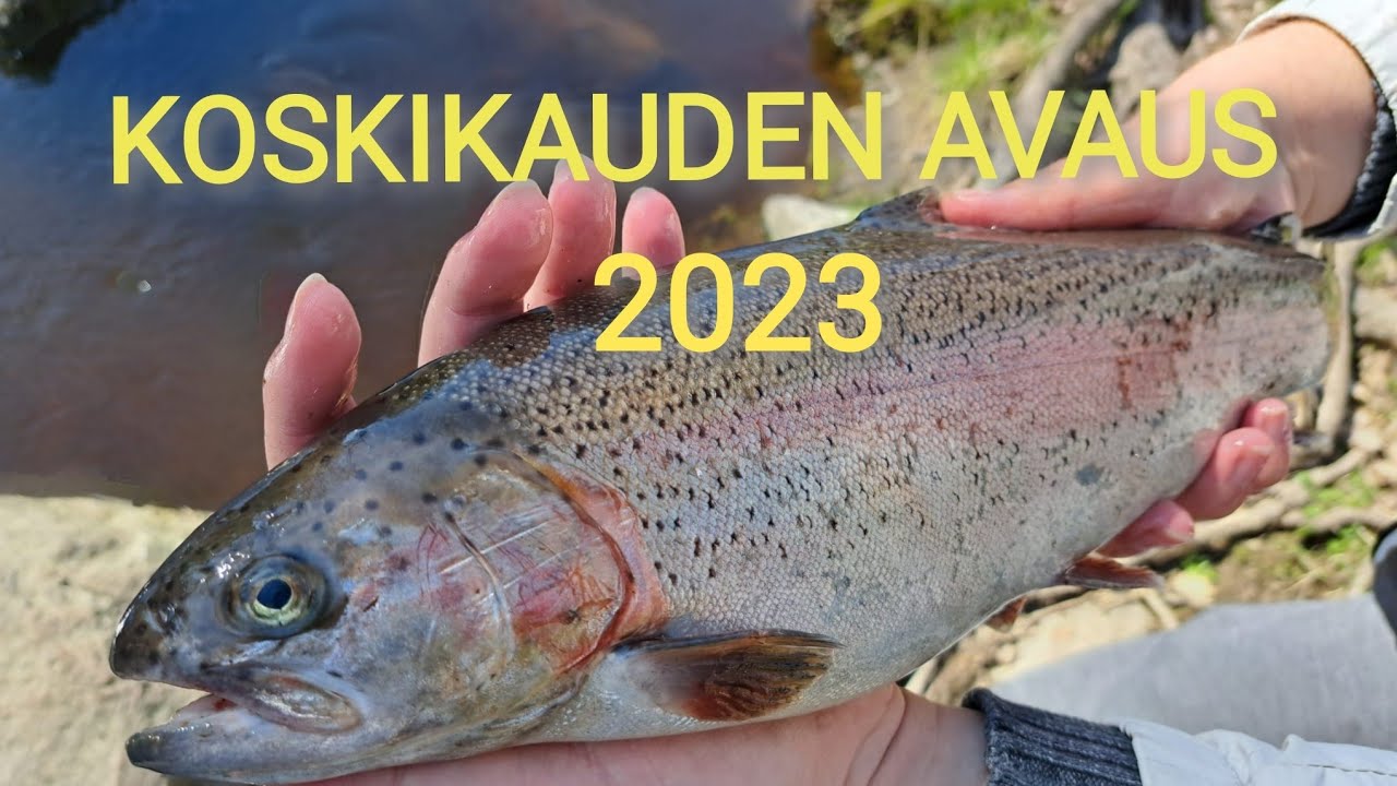 UL kalastusta Vantaanjoella - Nukarinkoski