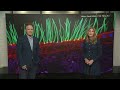 Nikon’s microscopy competition faces scrutiny after winning video is disqualified