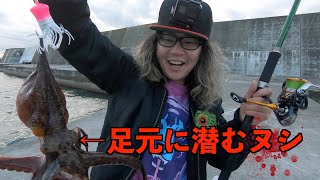 足元の岸壁に張り付いていた巨大タコを捕獲！！