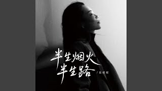 半生烟火半生路 (DJ豪大大版)