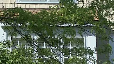 Home Tip - Window Replacements