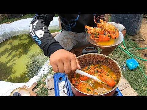 VEJA COMO LIMPAR E COZINHA LAGOSTA muito saborosa