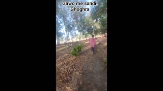 New Nagpuri dj song babu 2026