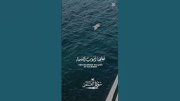 سورة القمر #القرآن_الكريم #اكسبلور #travel #nature #راحة_نفسية #العراق #trending #algeria #msr #