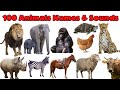 100 Animal Names with Sounds | Educational Toddlers Video #animals 