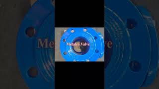 swing check valve