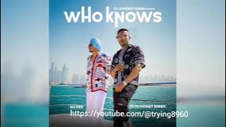 Who Knows (Full audio song) || So Dee feat. Yo Yo Honey Singh || Horror Treasure