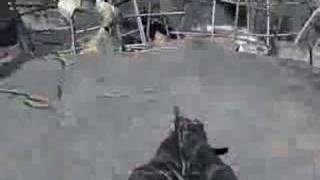3 Weapons in COD4