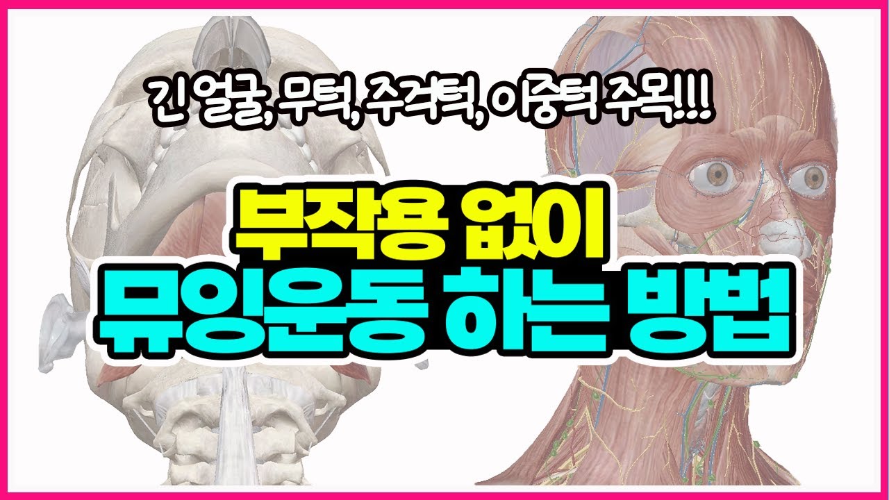 부작용 없이 뮤잉운동 하는 방법! 무턱, 주걱턱, 이중턱, 긴 얼굴에 효과 만점! - YouTube