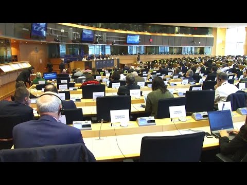 კონფიდენციალური კადრების გასაჯაროვება - არასამთავრობოები თეა წულუკიანს აკრიტიკებენ