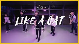 Like A Cat by AOA | KPOP | THURSDAYS, 6.45-8PM | Legacy Dance Co.