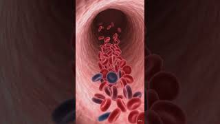 Part 2 | How the Human Heart Works ❤️ | 3D Animation Explained😱 #health #ai #aivideo #educational