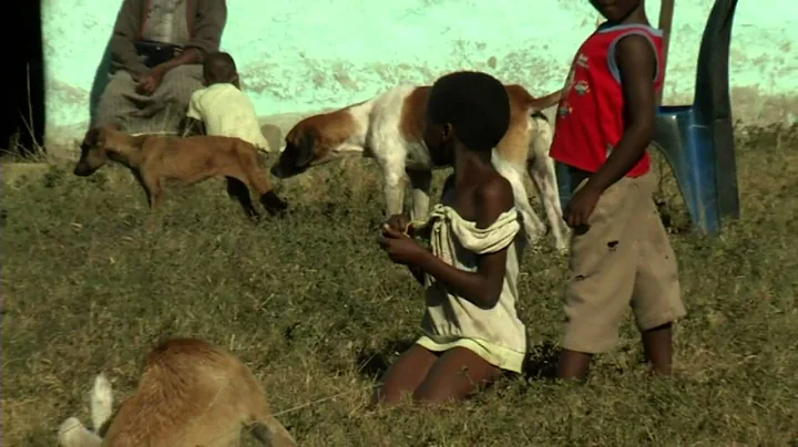 Dogs of the Transkei (full length)