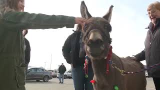 A special volunteer is ringing bells for The Salvation Army
