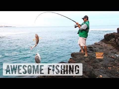 Pescuitul mare de pește în coasta peruană