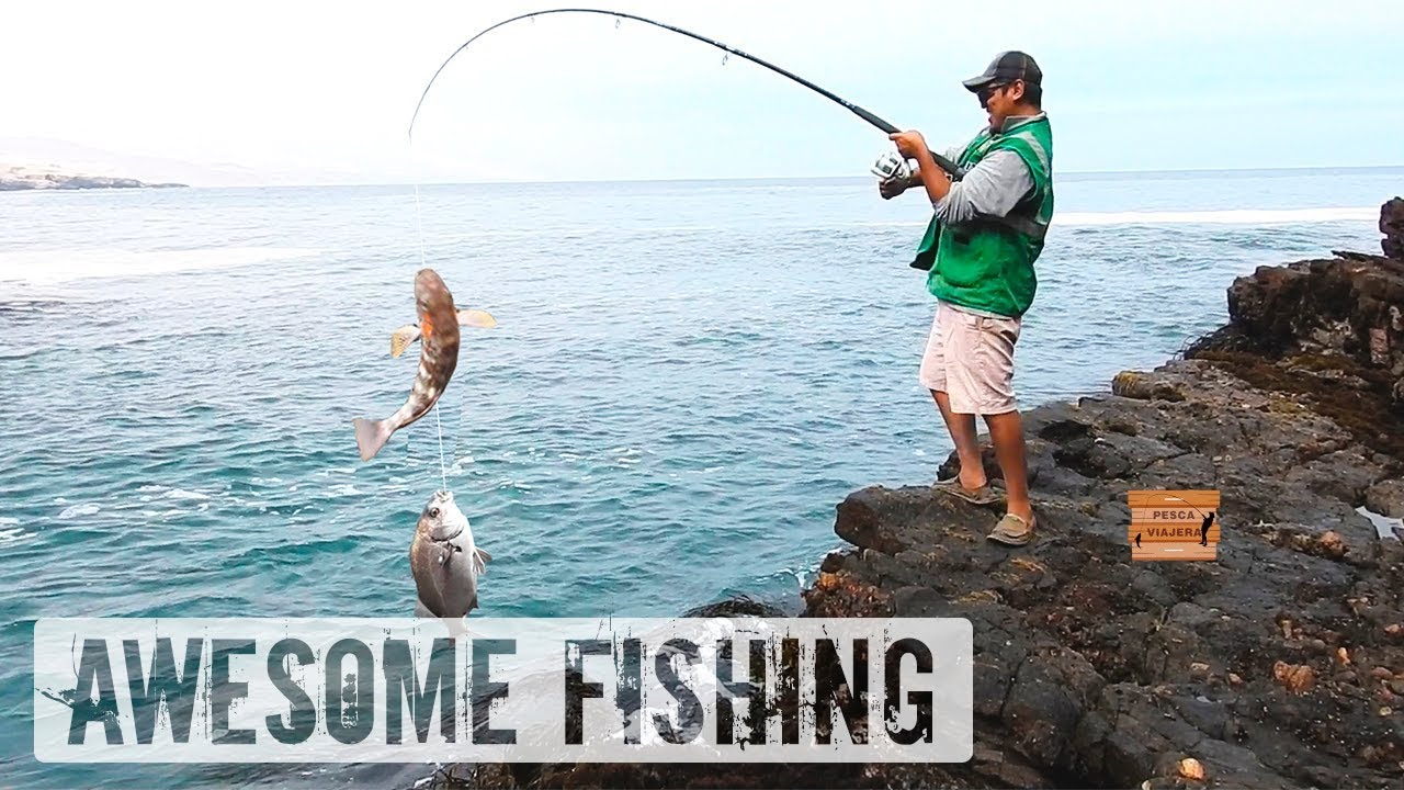 рыбалка большой рыбы на перуанском побережье - рыба-воин сопротивляется, чтобы выбраться из воды