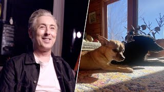 Alan Cumming's Pets