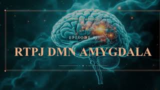 O'Sullivan ตอน 9 — สมองทำงานยังไงใน FND · fMRI Evidence