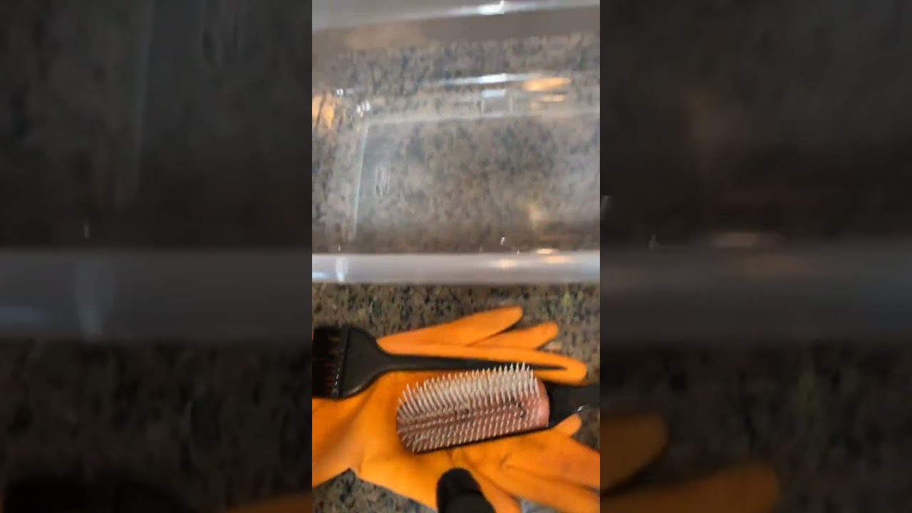 Vibrant hair colors with watercolor techniques! 