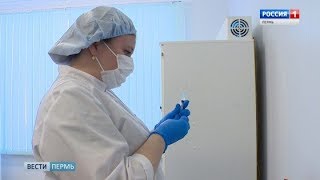 После ЧП с прививками в крае приостановлена вакцинация против клещевого энцефалита После ЧП с прививками в крае приостановлена вакцинация против клещевого энцефалита