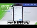 How to Refresh Browser Data on ZTE Blade L7 –  Delete Cookies / History / Wipe Cache