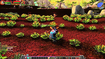 WoW MoP: Pandaren Starting Zone Part 2 (The Wandering Isle)