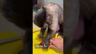 Playing Sick After Being Mean