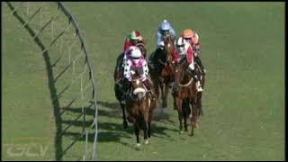 Vidéo de la course PMU PRIX WOOLAVINGTON 2000