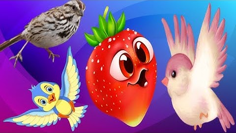 Hey Bear Sensory - Smoothie Mix!- Fun  Dance Video with music and animation !