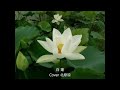 白蓮/唐木淳/Cover北原涼